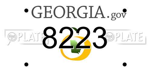 8223 Georgia License Plate