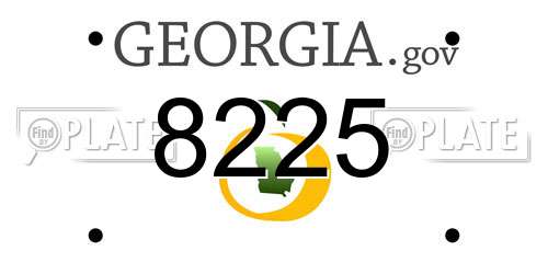 8225 Georgia License Plate