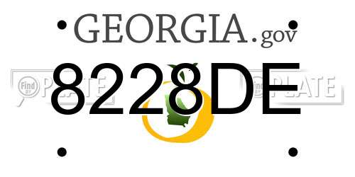 8228DE Georgia License Plate