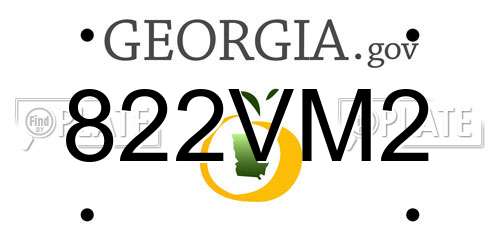 822VM2 Georgia License Plate