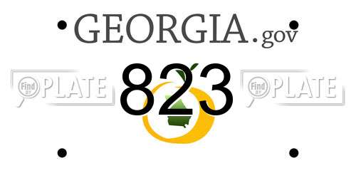 823 Georgia License Plate
