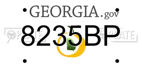 8235BP Georgia License Plate