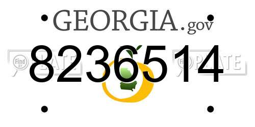 8236514 Georgia License Plate