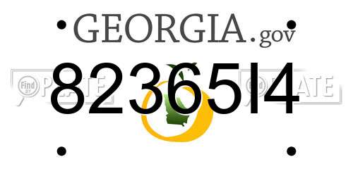 82365I4 Georgia License Plate