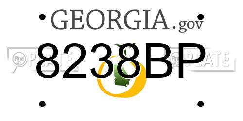 8238BP Georgia License Plate