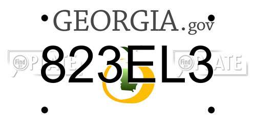 823EL3 Georgia License Plate