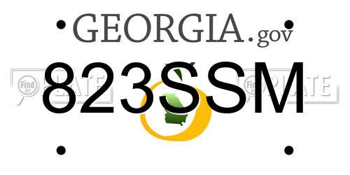 823SSM Georgia License Plate