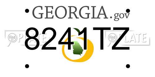 8241TZ Georgia License Plate