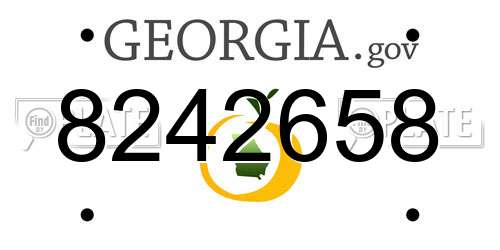8242658 Georgia License Plate