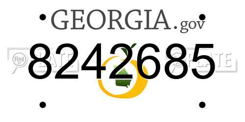 8242685 Georgia License Plate
