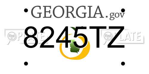 8245TZ Georgia License Plate