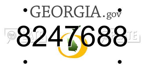 8247688 Georgia License Plate