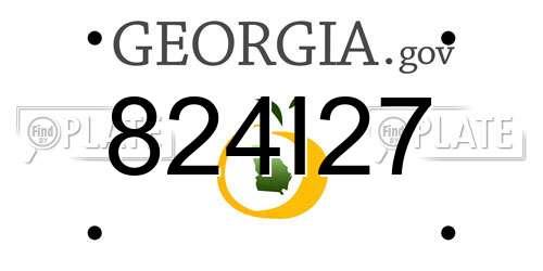 824I27 Georgia License Plate
