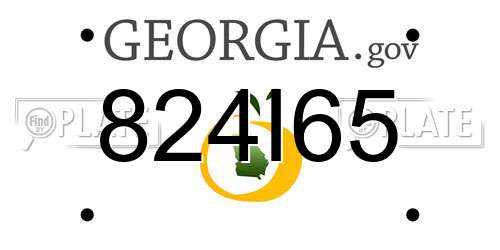824I65 Georgia License Plate