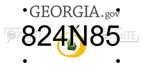 824N85 Georgia License Plate