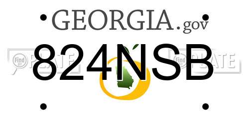 824NSB Georgia License Plate