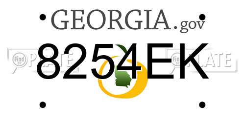 8254EK Georgia License Plate