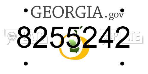 8255242 Georgia License Plate