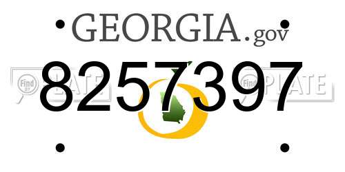 8257397 Georgia License Plate