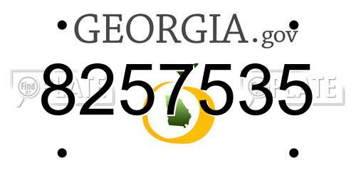 8257535 Georgia License Plate