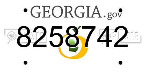 8258742 Georgia License Plate