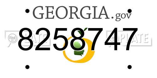 8258747 Georgia License Plate