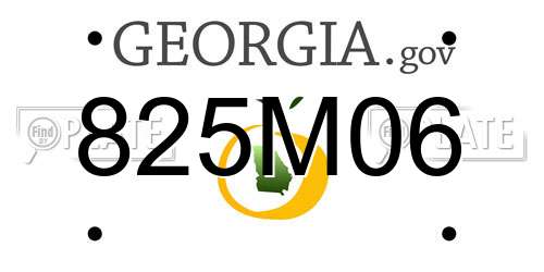 825M06 Georgia License Plate