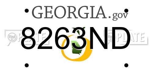 8263ND Georgia License Plate