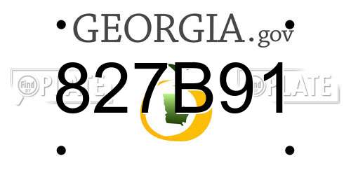 827B91 Georgia License Plate