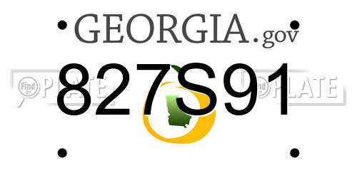 827S91 Georgia License Plate