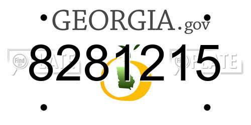 8281215 Georgia License Plate