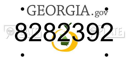 8282392 Georgia License Plate