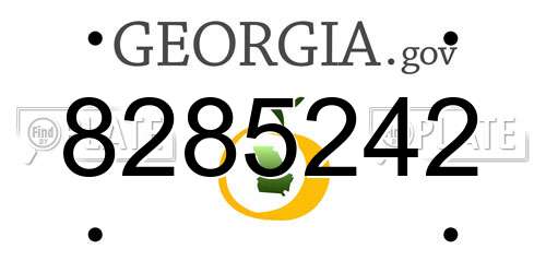 8285242 Georgia License Plate