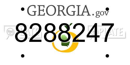 8288247 Georgia License Plate