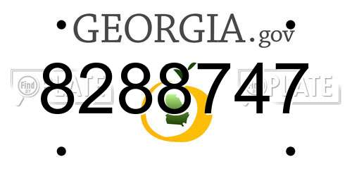 8288747 Georgia License Plate
