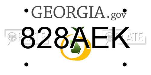 828AEK Georgia License Plate