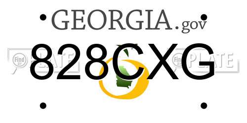 828CXG Georgia License Plate