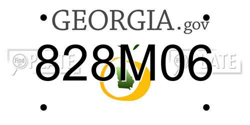 828M06 Georgia License Plate