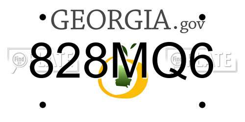 828MQ6 Georgia License Plate