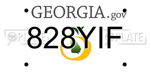 828YIF Georgia License Plate