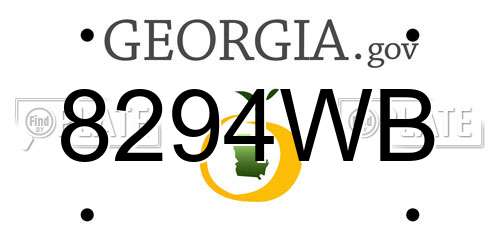 8294WB Georgia License Plate