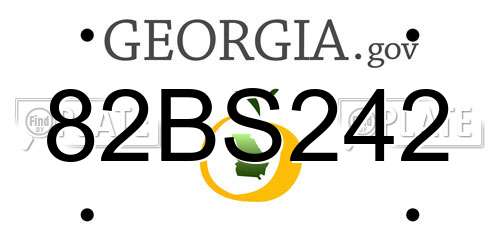 82BS242 Georgia License Plate