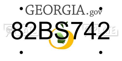 82BS742 Georgia License Plate