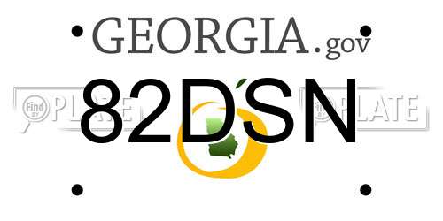82DSN Georgia License Plate