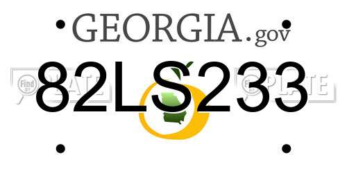82LS233 Georgia License Plate