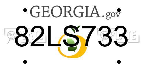 82LS733 Georgia License Plate