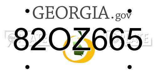 82OZ665 Georgia License Plate