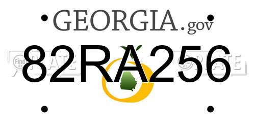 82RA256 Georgia License Plate
