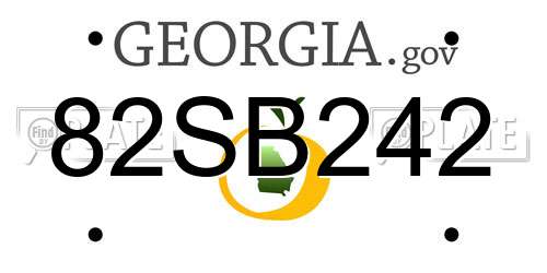 82SB242 Georgia License Plate