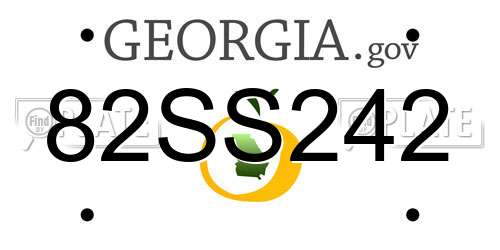 82SS242 Georgia License Plate